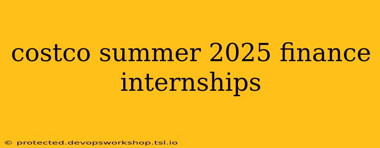 costco summer 2025 finance internships