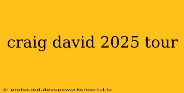 craig david 2025 tour