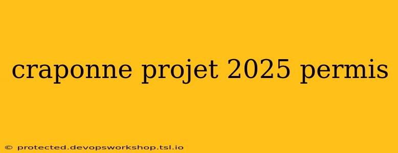 craponne projet 2025 permis