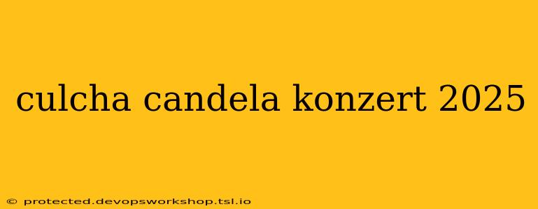 culcha candela konzert 2025