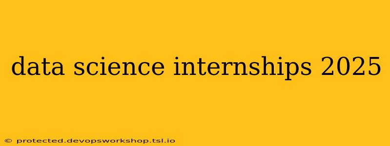 data science internships 2025