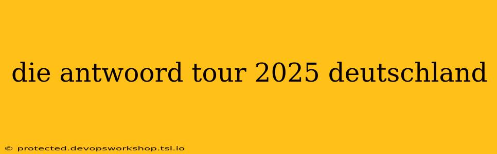 die antwoord tour 2025 deutschland