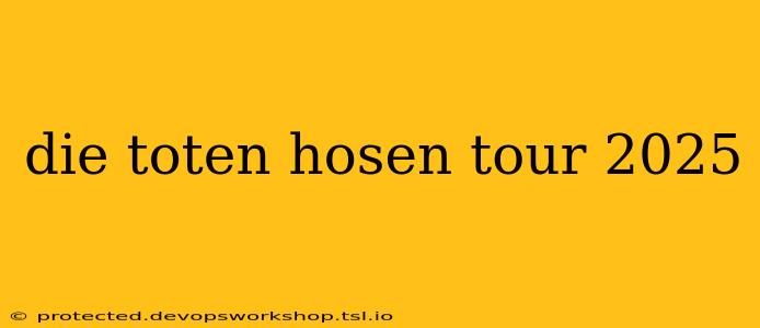 die toten hosen tour 2025