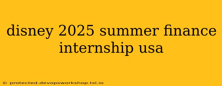 disney 2025 summer finance internship usa