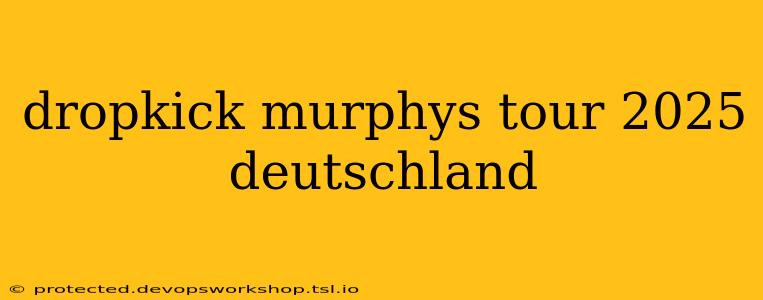 dropkick murphys tour 2025 deutschland