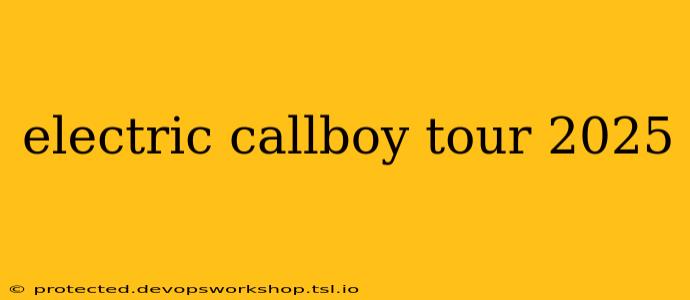 electric callboy tour 2025