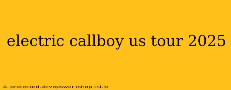 electric callboy us tour 2025