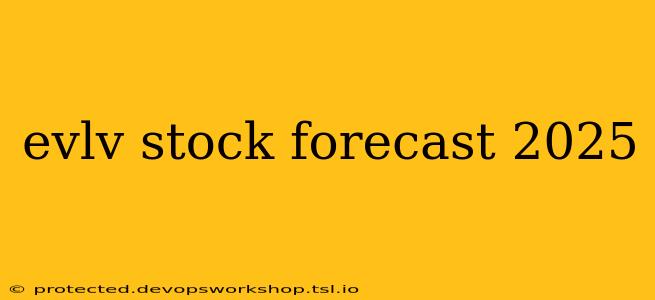 evlv stock forecast 2025