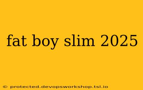 fat boy slim 2025