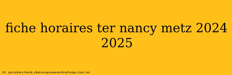 fiche horaires ter nancy metz 2024 2025