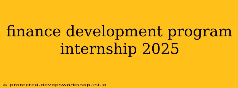 finance development program internship 2025