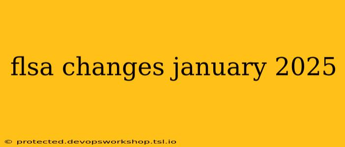 flsa changes january 2025