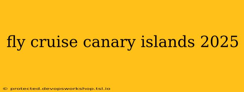 fly cruise canary islands 2025