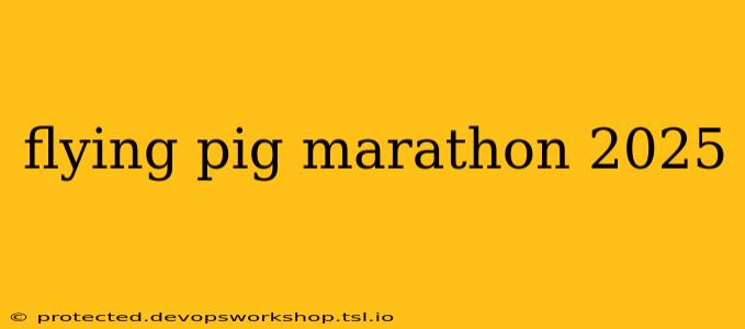 flying pig marathon 2025