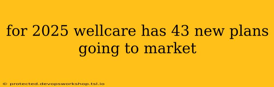 for 2025 wellcare has 43 new plans going to market