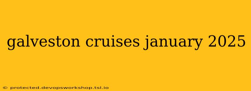 galveston cruises january 2025