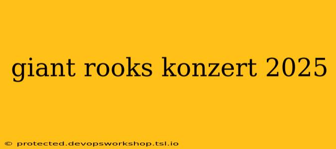 giant rooks konzert 2025