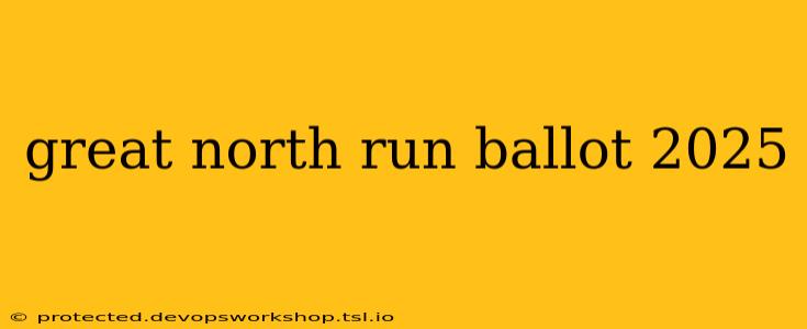 great north run ballot 2025