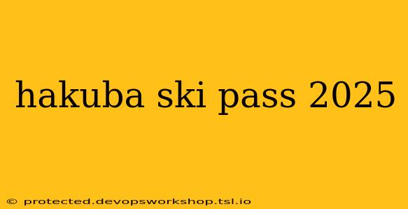 hakuba ski pass 2025