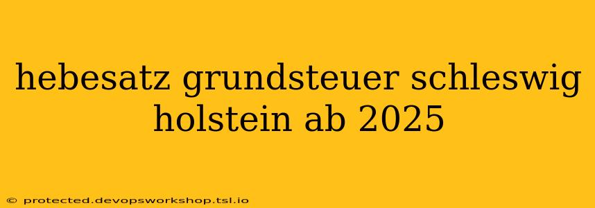 hebesatz grundsteuer schleswig holstein ab 2025