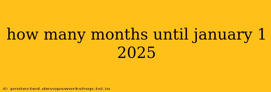 how many months until january 1 2025