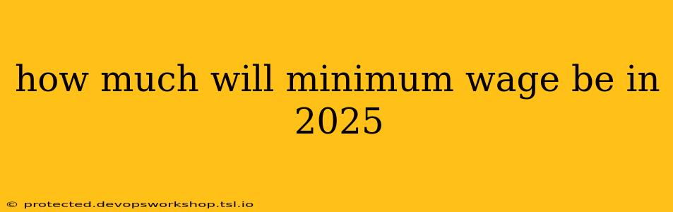 how much will minimum wage be in 2025