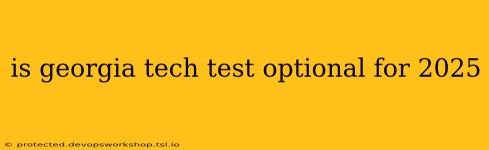 is georgia tech test optional for 2025