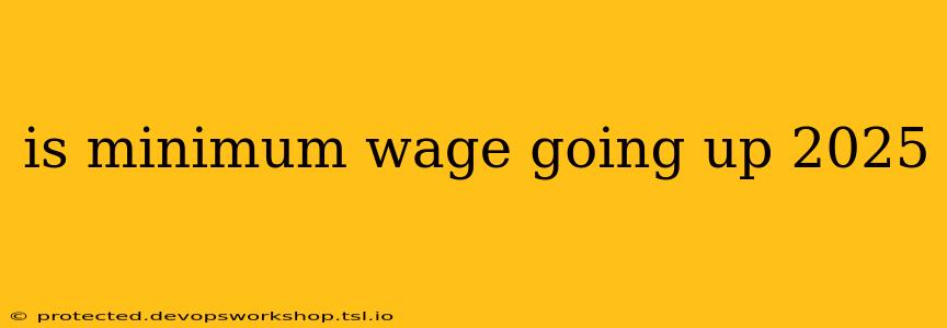 is minimum wage going up 2025