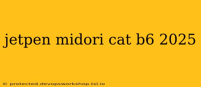 jetpen midori cat b6 2025