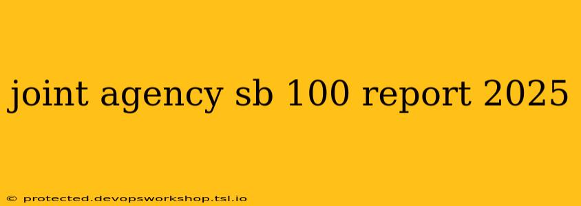 joint agency sb 100 report 2025