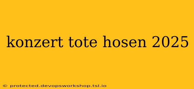 konzert tote hosen 2025