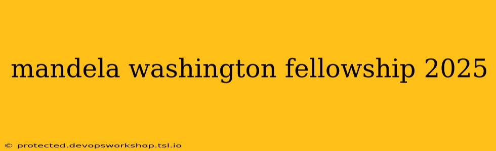 mandela washington fellowship 2025