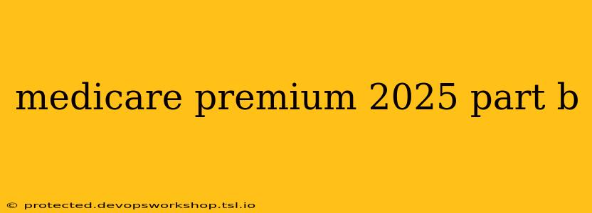 medicare premium 2025 part b