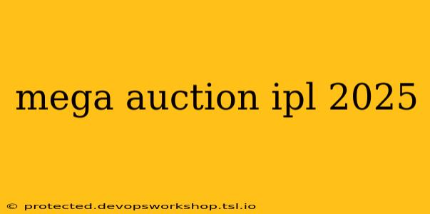 mega auction ipl 2025