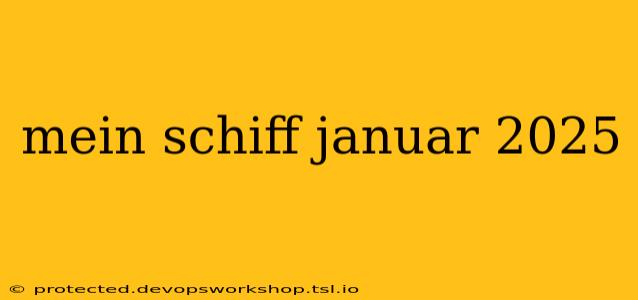 mein schiff januar 2025