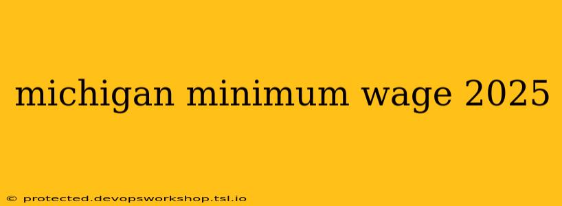 michigan minimum wage 2025