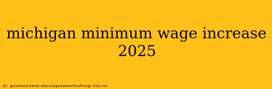 michigan minimum wage increase 2025