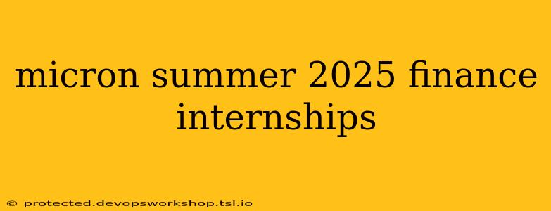 micron summer 2025 finance internships