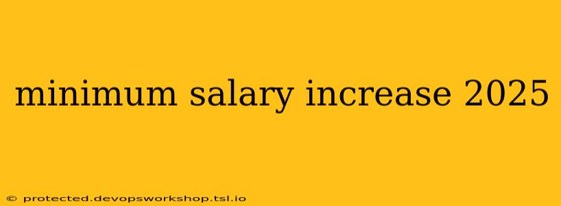 minimum salary increase 2025