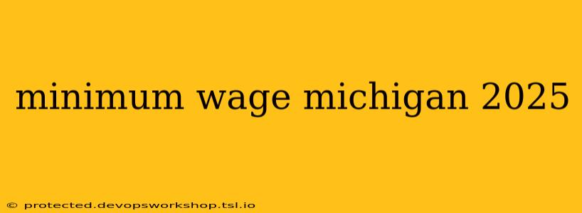 minimum wage michigan 2025