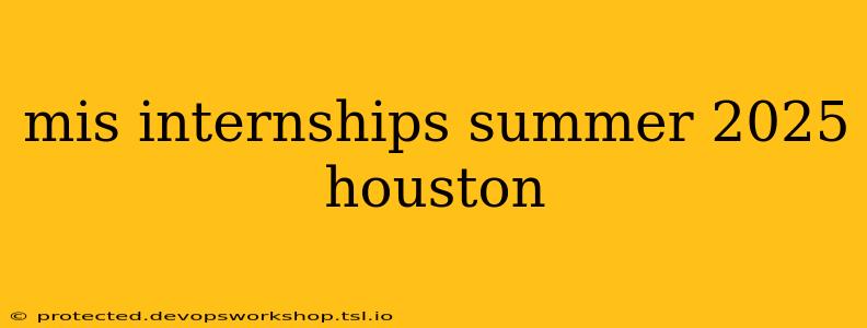 mis internships summer 2025 houston