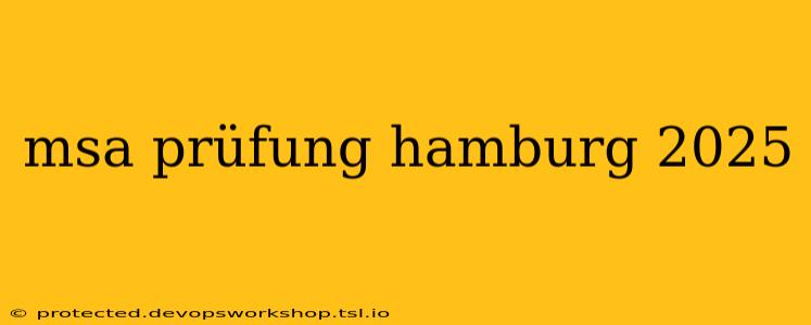 msa prüfung hamburg 2025