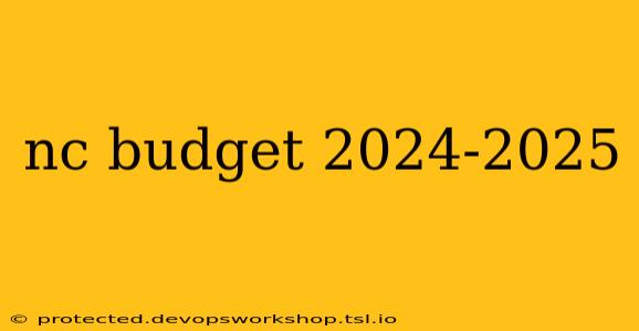 nc budget 2024-2025