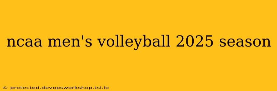 ncaa men's volleyball 2025 season