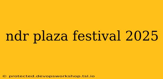 ndr plaza festival 2025