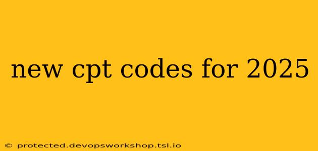 new cpt codes for 2025