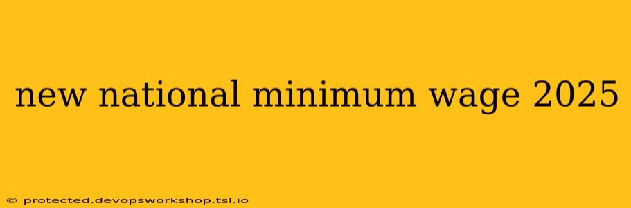 new national minimum wage 2025