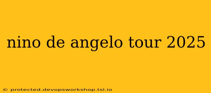 nino de angelo tour 2025