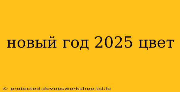 новый год 2025 цвет