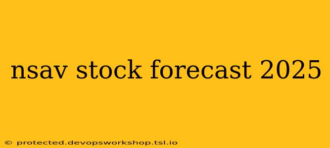 nsav stock forecast 2025